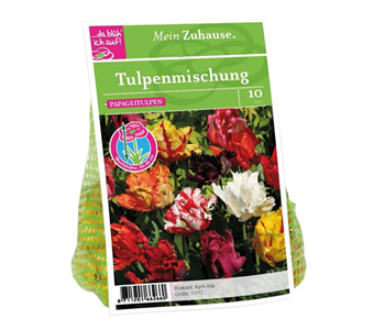 Blumenzwiebel Tulpe Papageien Mischung