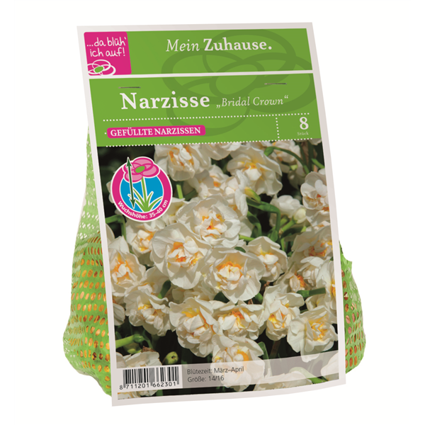 Blumenzwiebel Narzisse 'Bridal Crown'