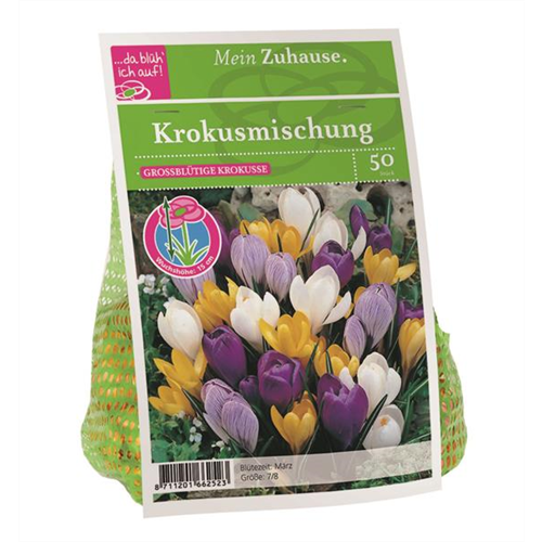 Blumenzwiebel Krokus Mischung